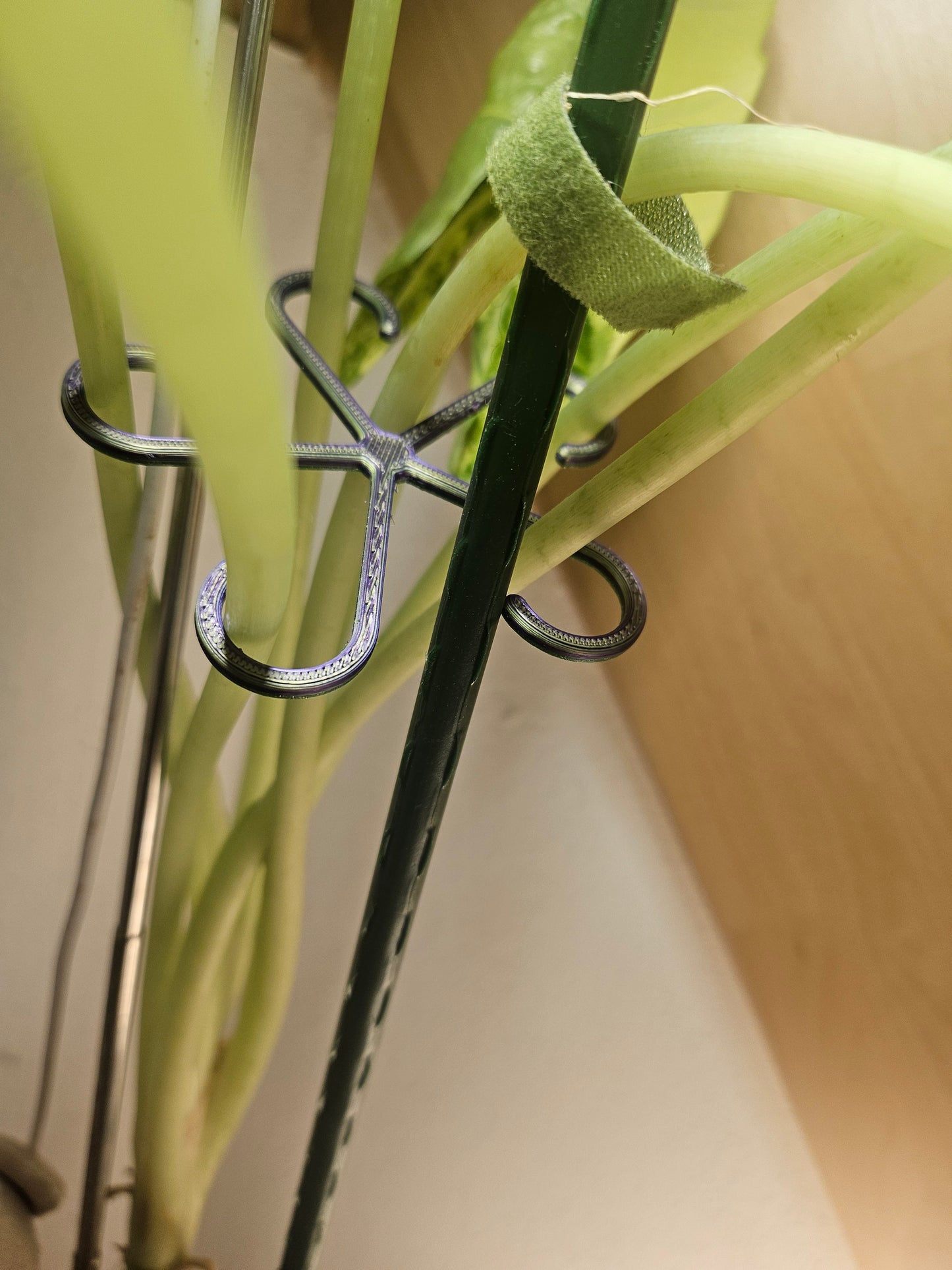 Pflanzenstütze Pflanzenhalter 2er Set