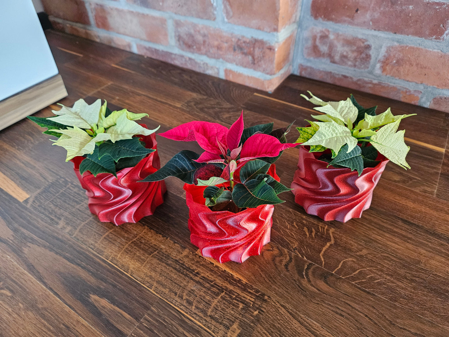 Set Weihnachtsstern inkl. tollem Übertopf (selbst gedruckt) Weihnachtsgeschenk