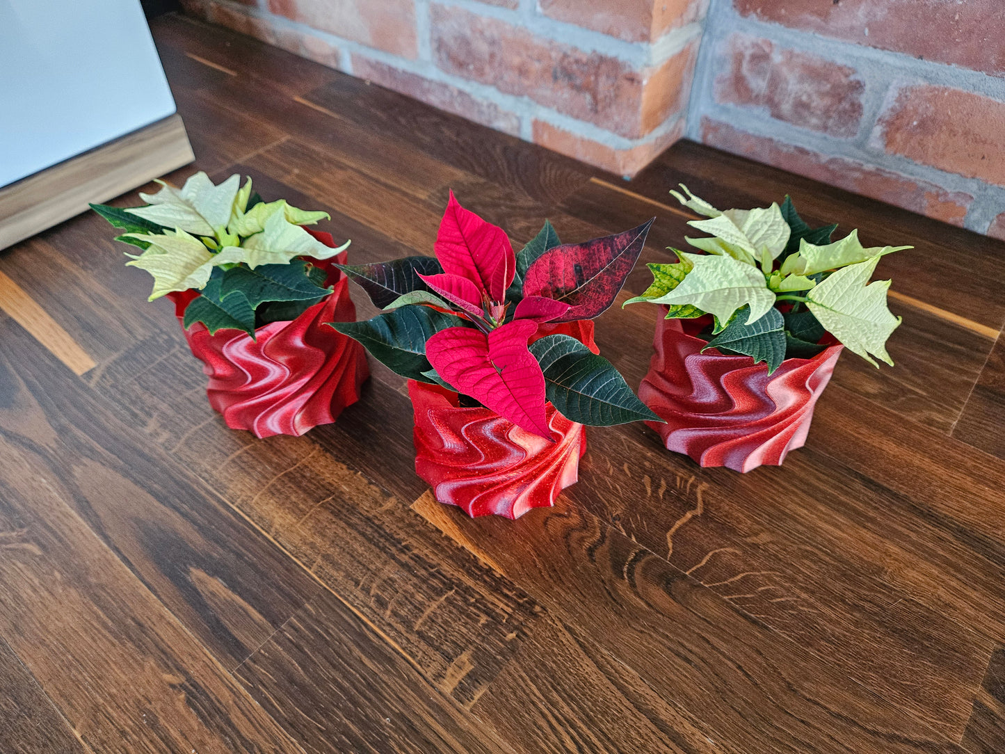 Set Weihnachtsstern inkl. tollem Übertopf (selbst gedruckt) Weihnachtsgeschenk