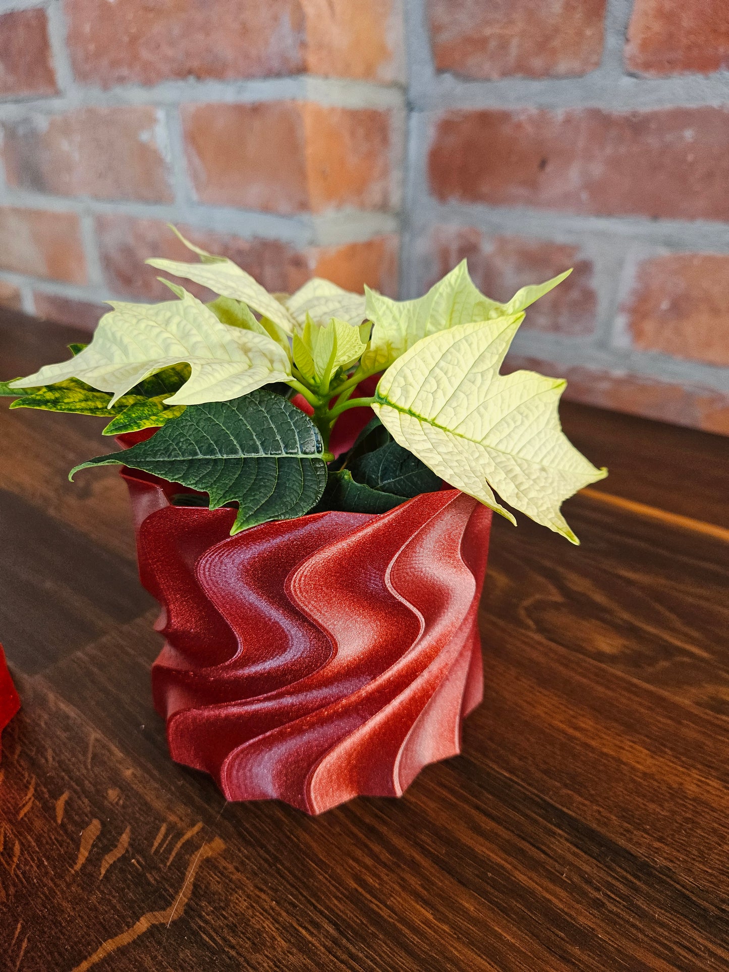 Set Weihnachtsstern inkl. tollem Übertopf (selbst gedruckt) Weihnachtsgeschenk