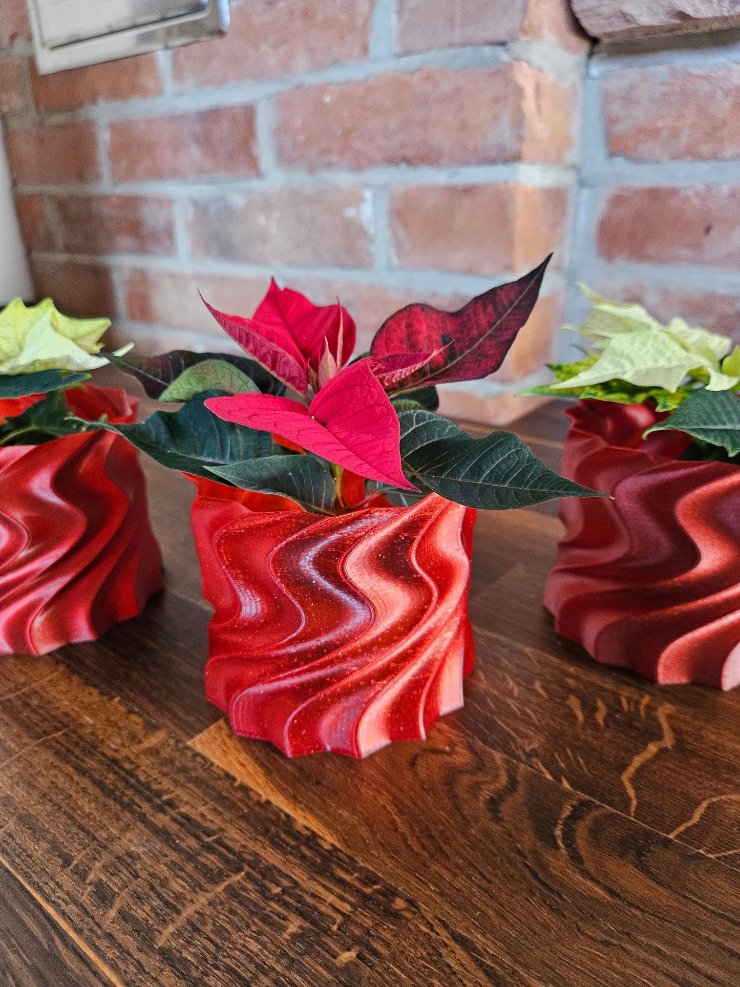 Set Weihnachtsstern inkl. tollem Übertopf (selbst gedruckt) Weihnachtsgeschenk