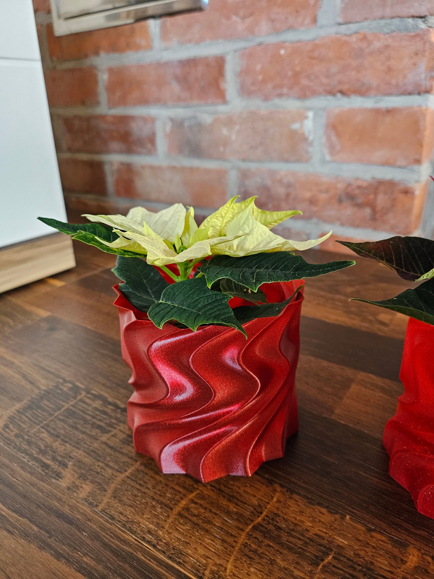 Set Weihnachtsstern inkl. tollem Übertopf (selbst gedruckt) Weihnachtsgeschenk