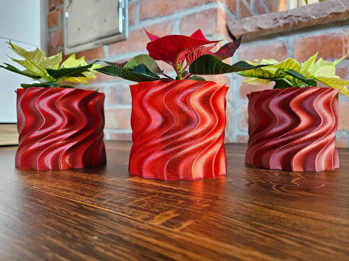 Set Weihnachtsstern inkl. tollem Übertopf (selbst gedruckt) Weihnachtsgeschenk