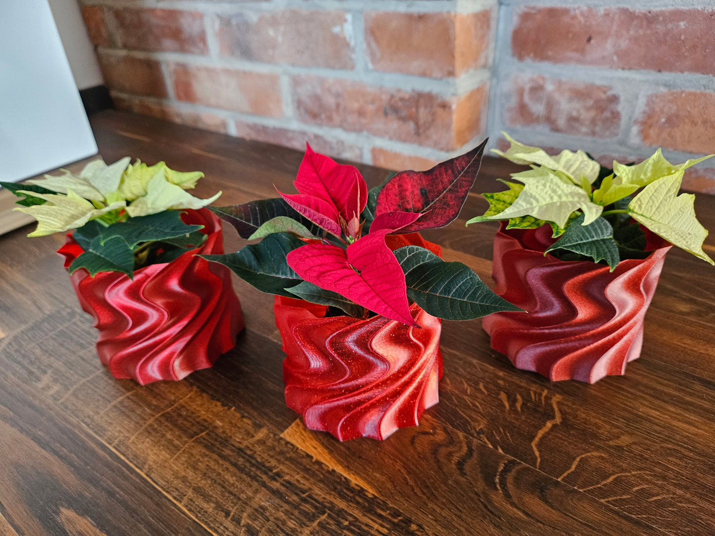 Set Weihnachtsstern inkl. tollem Übertopf (selbst gedruckt) Weihnachtsgeschenk