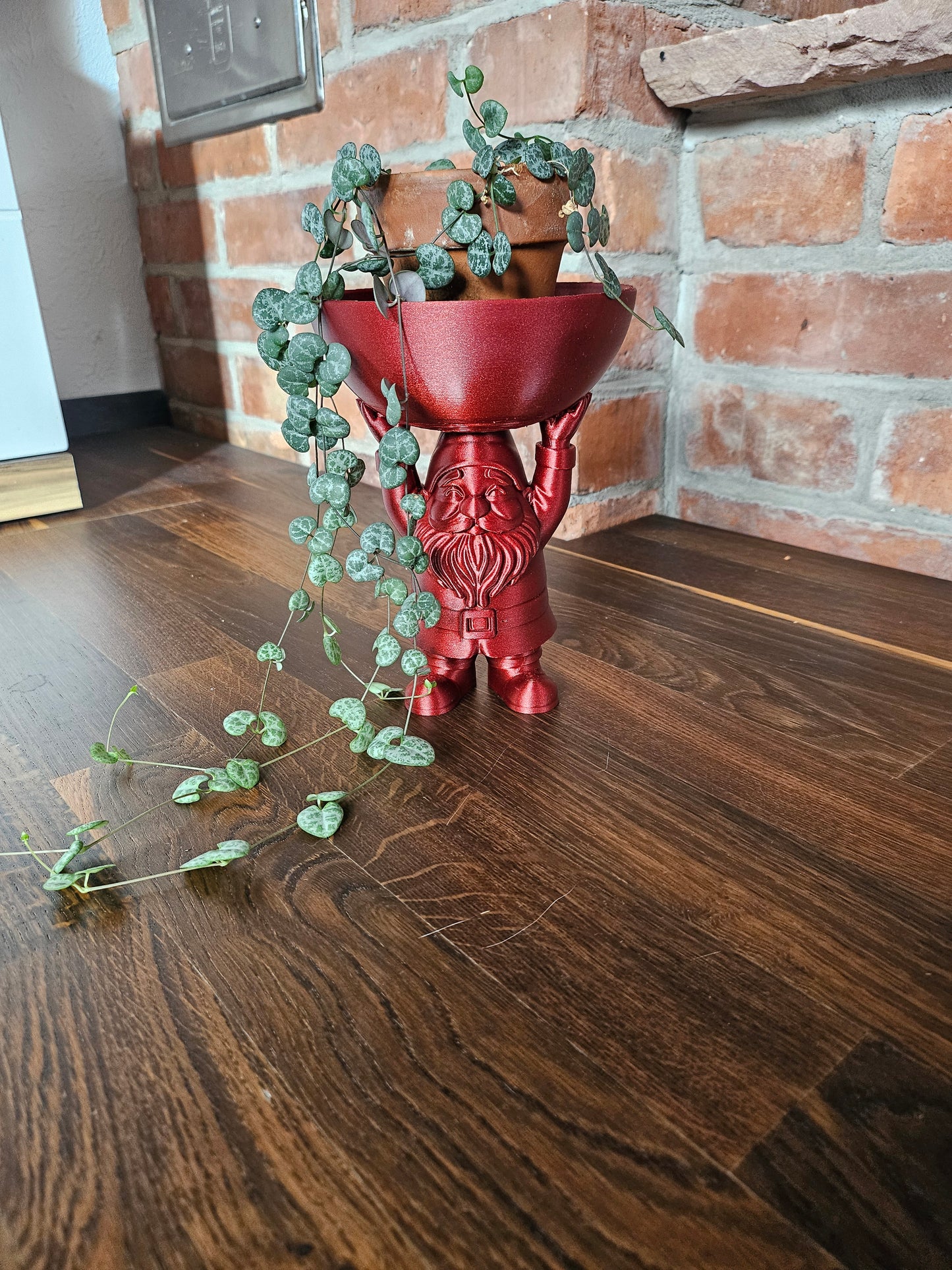 Ceropegia Woodii String of Hearts Weihnachtsset inkl. Weihnachtsfigur