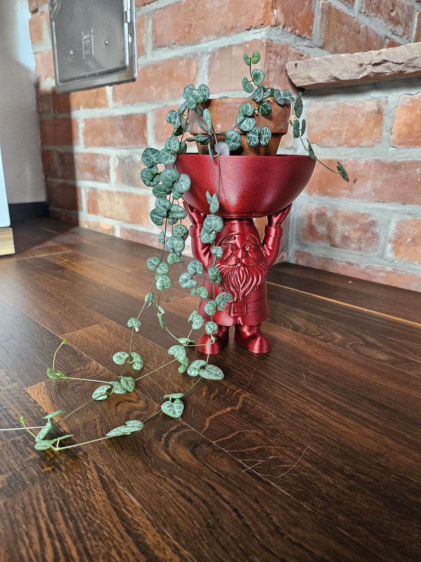 Ceropegia Woodii String of Hearts Weihnachtsset inkl. Weihnachtsfigur